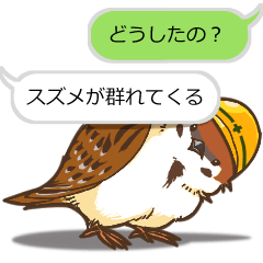 Helmet sparrows sticker