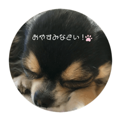 hiroki_20200404163758