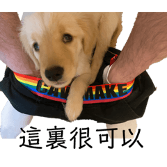 BuBu生活-第一季