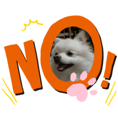 akiko_20200404194134