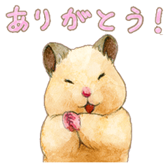Hamster Life SUKEROKU4 (convo)