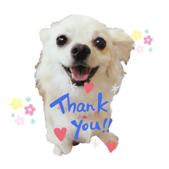 saori_20200404202058