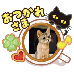 rikako14_20200404213636