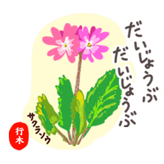 NAMEKI Hanakeigo no.6410