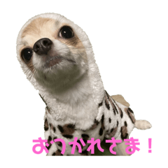 ao_20200404222344