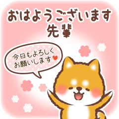Love Sticker to Senpai from Shiba 4