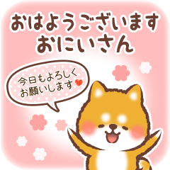 Love Sticker to Brother from Shiba 4