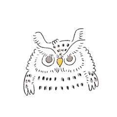 Owl Owl Life