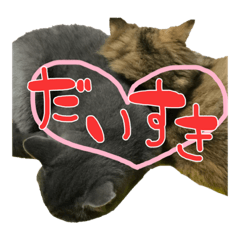 Everyday life Luna.Sarah