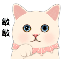Choo Choo Cat S Love Talk Line Stickers Line Store