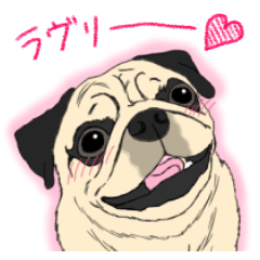 Pug dog Sticker