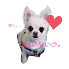 yukina_20200405125105