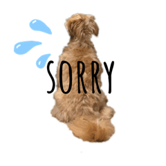 haruna_20200405145416