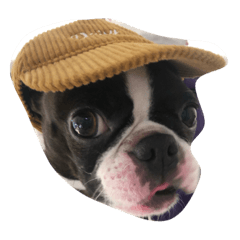 sumire_20200405130625