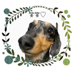 ayumi_20200405163656