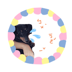 臘腸狗妹妹兒