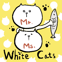Mr. Ms. White Cats