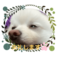 akiko_20200405190132