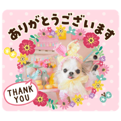 haruna_20200405201441