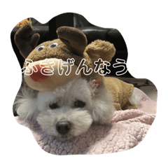 kurumi_20200405215609