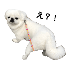 arisa_20200405211633