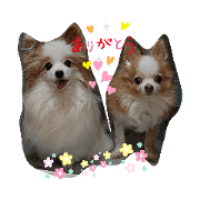 kiyobasan4_20200405232900