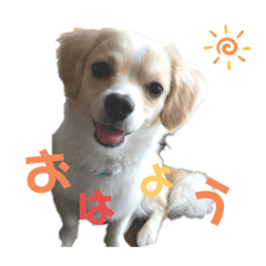 kurumi_20200406000112