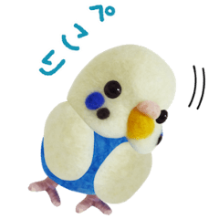 セキセイインコ の チャッピー 1