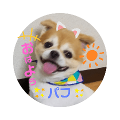 kanae_20200405205338