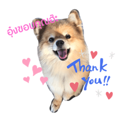 Dora_2020040617341100