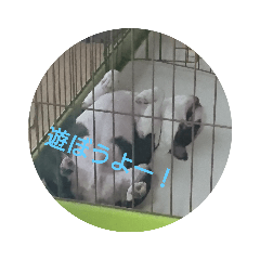 YUTO_20200406123325