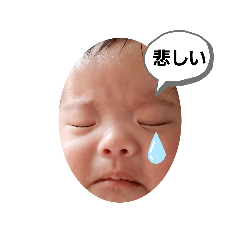 kichi_20200406142923