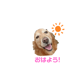 hana_20200406142802
