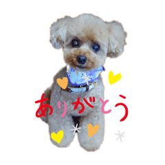 ikumi_20200406132256