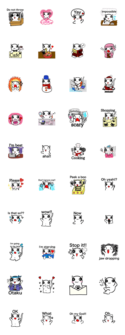 Everyday of cute cat.