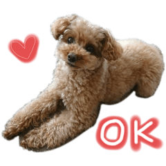 haruna_20200406025316