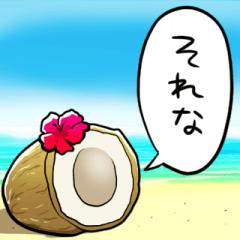 talking coconut