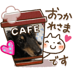 junko_20200406214055