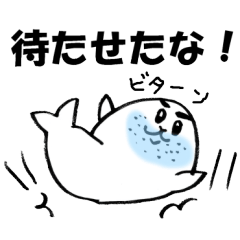 kawaii cute seal