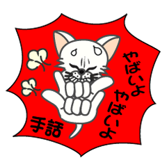 Cross facial cat Japanese sign language