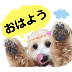 sally_20200407003829