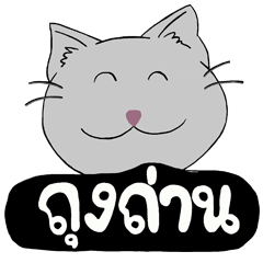 ThungThan : The cat is so funny.
