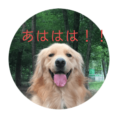 ellie_20200407005905