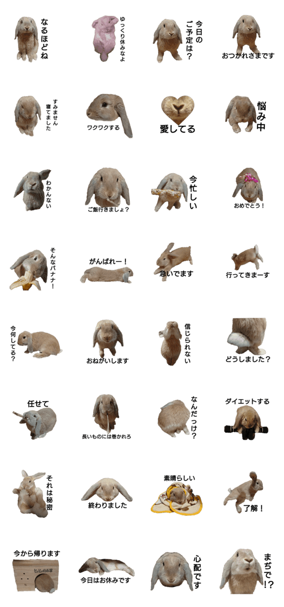 うさぎのじぇじぇpart2 Lineクリエイターズスタンプ Stamplist