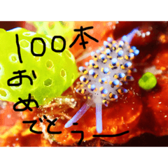 takuya7th_20200406210907