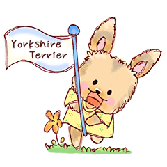 Yorkshire Terrie English version
