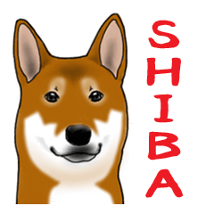 Shiba Inu Momo & his Friends in English