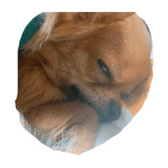 yukari_20200407110251