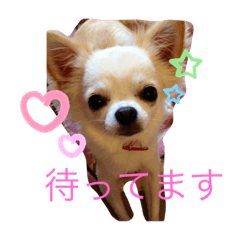 saori_20200407115529