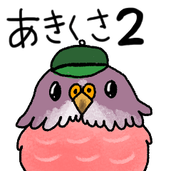 It is bird akikusa2.